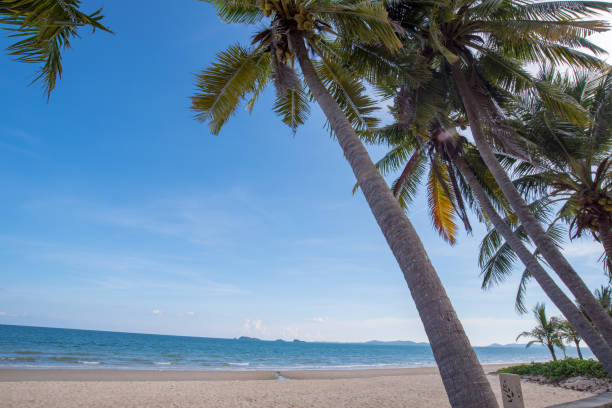 istock Beautiful nature sea summer background,Sand beach 2195627758