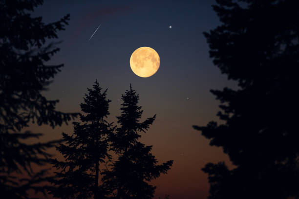 istock Full Moon, stars, planets and landscape scenery silhouettes. 2195628468