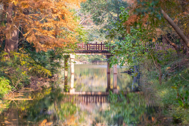 A bridge over a river in summer.
