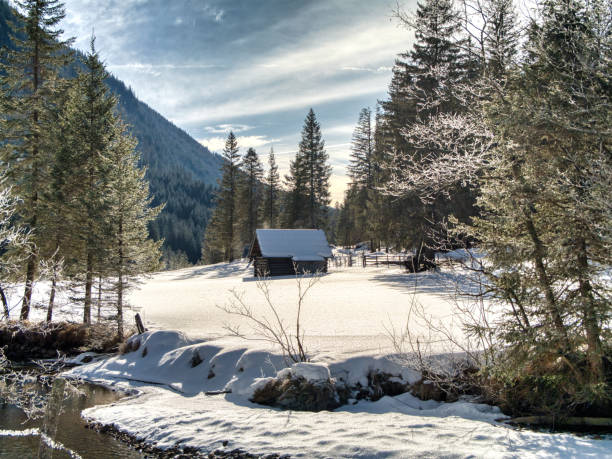 A picturesque snow-covered trail winds through a tranquil alpine valley, bordered by tall evergreens and open meadows. The low winter sun casts a warm glow, creating long shadows and a serene atmosphere under a dynamic sky filled with soft clouds and sunlight streaks.
