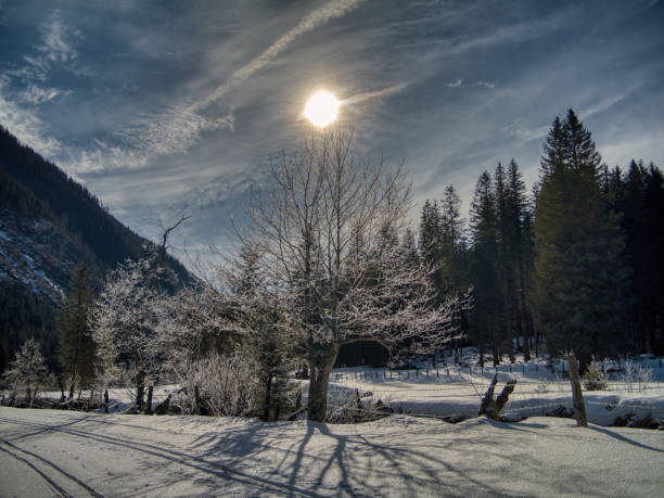 A picturesque snow-covered trail winds through a tranquil alpine valley, bordered by tall evergreens and open meadows. The low winter sun casts a warm glow, creating long shadows and a serene atmosphere under a dynamic sky filled with soft clouds and sunlight streaks.