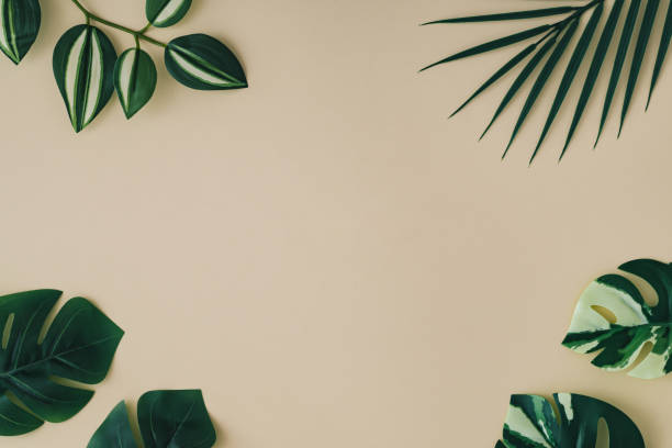 istock Summer scene with green tropical leaves on sand color background. Minimal concept. Creative copy space. Tropical backdrop flat lay image. Summer aesthetic. 2195631921