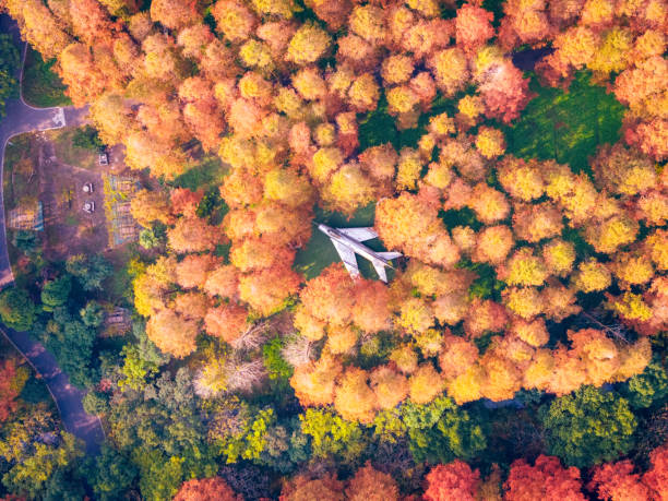 Dongping National Forest Park, Chongming Island, Shanghai