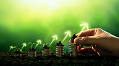 hand-planting-seedling-growing-step-in-garden-with-sunshine-concept-of-business-growth-profit.jpg?b=1&s=170x170&k=20&c=vXzQED8r97KjmD0VG4tHkntmh6wUXy7FEutYgV7NycY=
