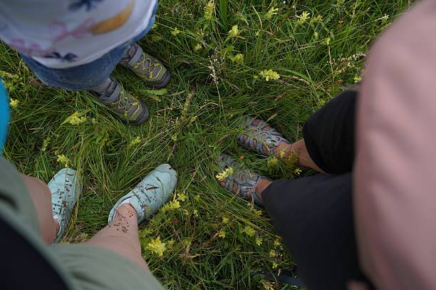 Legs of hikers among blooming spring meadow.