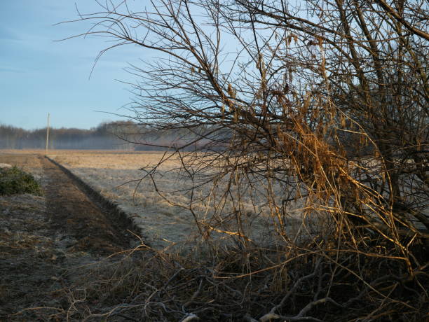 Autumn photos in Denmark
