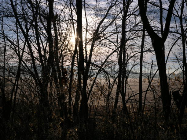 istock countryside in winter at dawn 2195638774