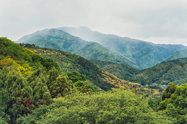 istock Beautiful scenic natural landscape with the tree covered mountains. 2195640492