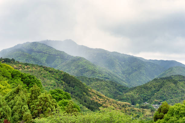 istock Beautiful scenic natural landscape with the tree covered mountains. 2195640499