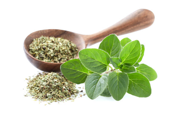 istock Oregano fresh leaves with dry oregano on white background 2195641273