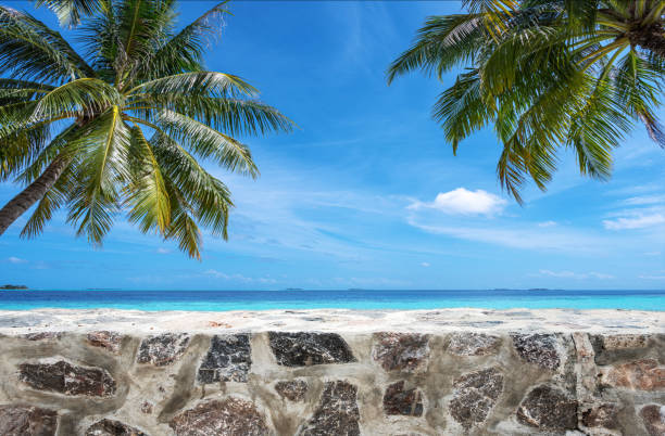Stone wall on tropical beach with sunny blue sky copy space scene