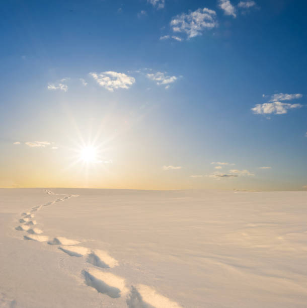 wide snowbound plain at the sunset, winter outdoor evening scene