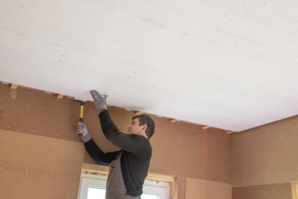 istock Construction worker thermally insulating eco wooden frame house 2195647079
