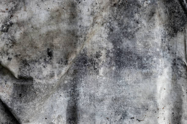 istock Gray Mold Stained Fabric Texture with Vintage Aged Appearance 2195647664
