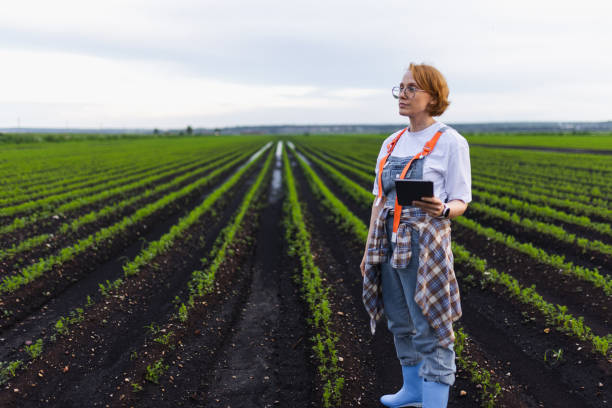 istock Agriculture Professional Working in a Green Field Using Digital Technology 2195648260