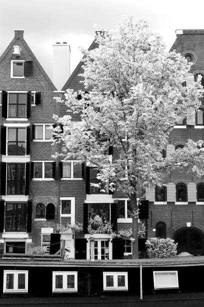 amsterdam city in bw and retro style. europe