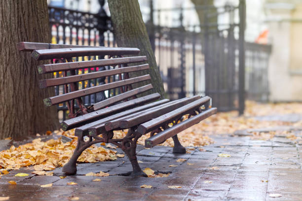istock .An empty wooden bench is placed by a tree in the park, surrounded by fallen leaves and a light misty rain. 2195649907