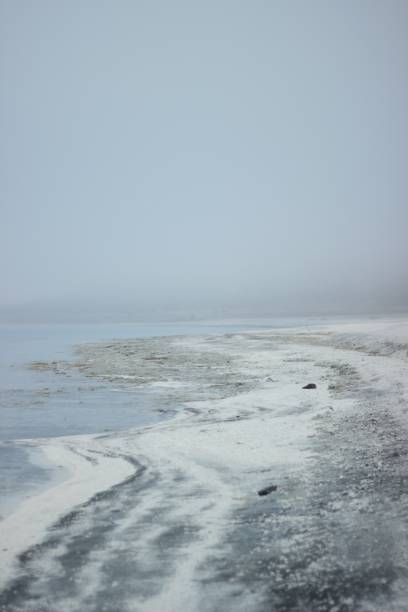 istock White shore of Lake Salda, Turkey. 2195655347