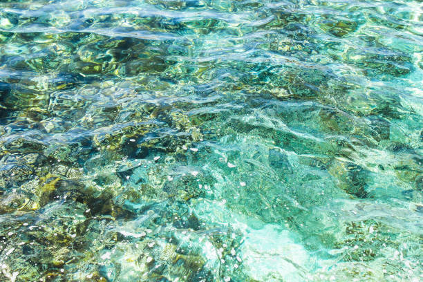 istock Beautiful cleanest sea surface with vivid tirquoise water 2195657284