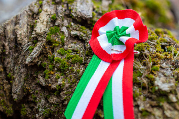istock Hungarian tricolor cockade 2195659311