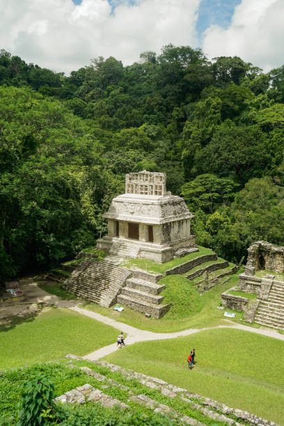 istock Ancient Mayan Temple Surrounded by Lush Jungle in Palenque, Mexico 2195661181