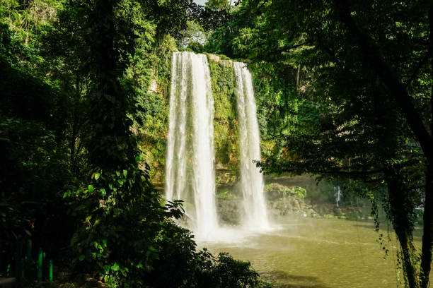 A captivating view of the Misol-Ha waterfall in Chiapas, Mexico, surrounded by lush greenery. This stunning natural wonder features a cascade plunging into a serene pool, creating a tranquil and refreshing atmosphere. A perfect destination for nature lovers and adventurers seeking the beauty of the Mexican rainforest.