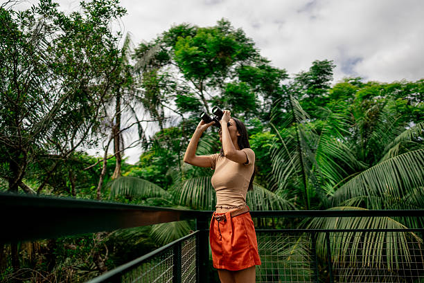 istock Young tourist woman using binoculars on observation tower at forest 2195662526