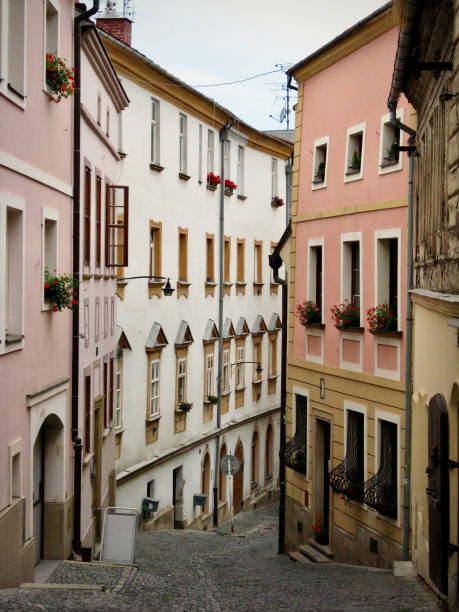 Charming Narrow Cobblestone Street (Oloumoc, Poland)