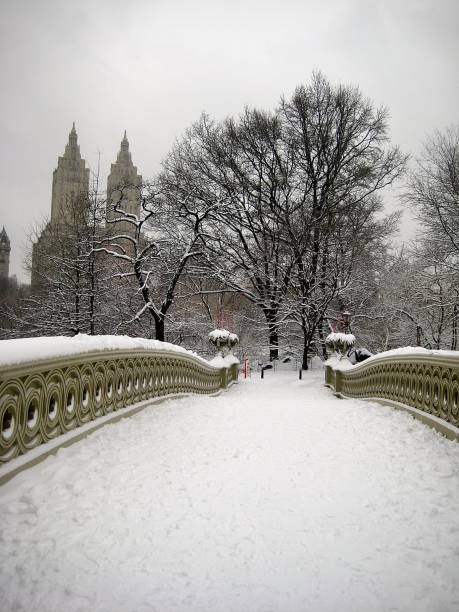 Bow Bridge and Manhattan Skyline in Winter (New York, New York, USA)