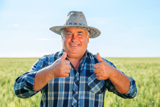 Positive elderly male worker looking at camera with thumbs up while standing in agricultural field with green plants in countryside