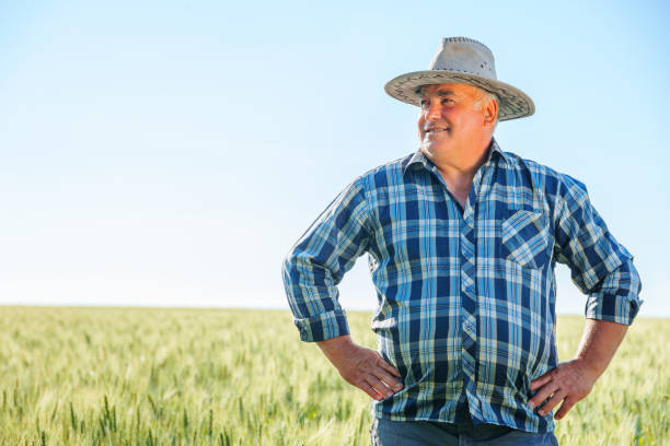 istock Content senior male worker looking away with curiosity while standing in green field 2195666561