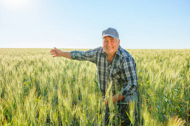 istock Joyful elderly male worker in cap looking at camera and pointing away while sitting in field 2195666567