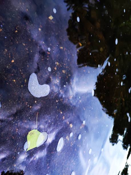 istock Abstract water surface picture with ripples and debris on the surface makes it look like an astronomical galaxy picture 2195666585