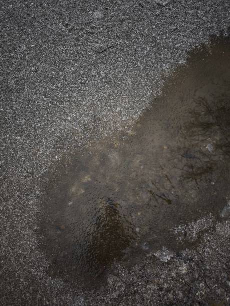 The asphalt road is wet and has potholes full of water.