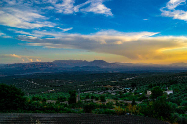 Atmospheric sky at sunrise or sunset.