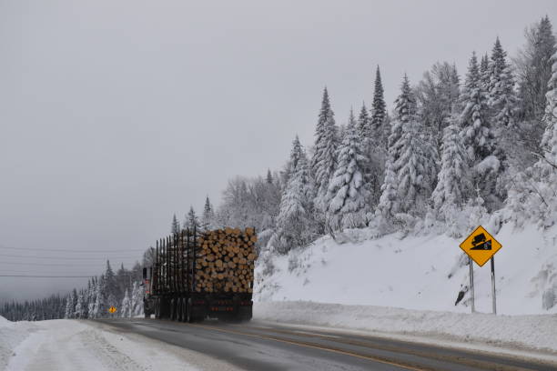istock Un camion sur la route 2195673901