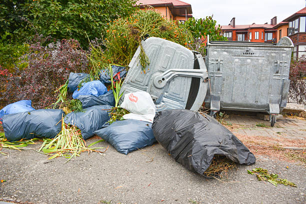 istock A garbage dump with bags and a cart 2195676299