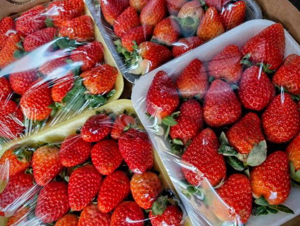 istock Strawberries packed in trays covered in plastic film 2195677845