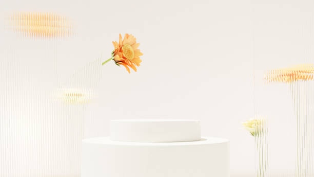 istock Background 3D rendering minimalist white podium and chrysanthemum flower for product presentation in landscape 2195680553