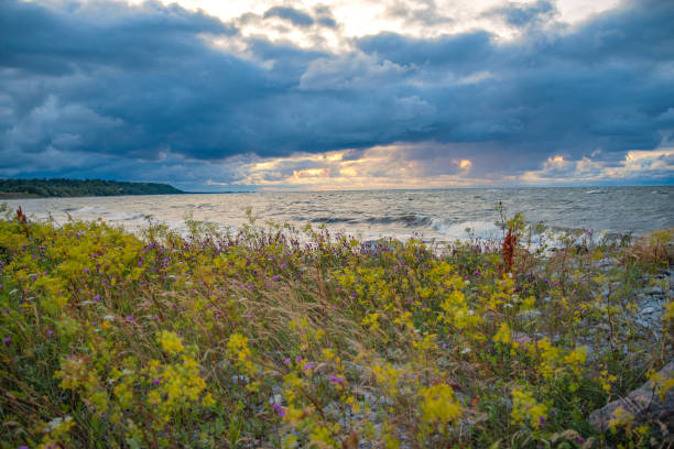 istock Sunset on the sea coast. 2195686449