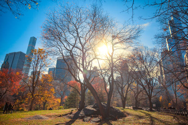 Autumn sunset in Central Park Manhattan. New York. USA