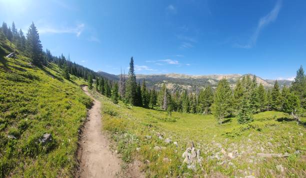 istock Collegiate Peaks Wilderness, Colorado 2195689960