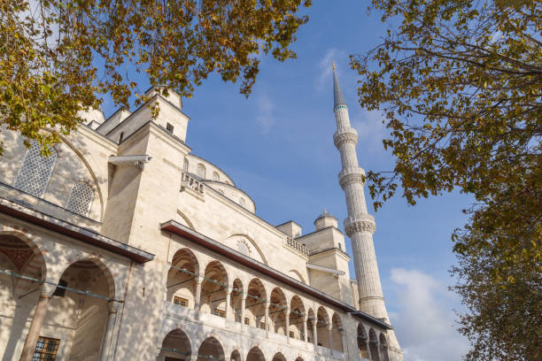 istock Blue Mosque in Istanbul, Turkey 2195691784