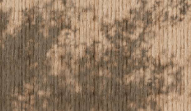 istock reflection of branches Wooden floor with shadows, 3D illustration 2195693855