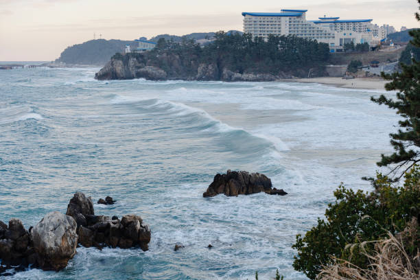 Waves rolling onto a rocky coastline near a large coastal hotel. Serene coastal scene.