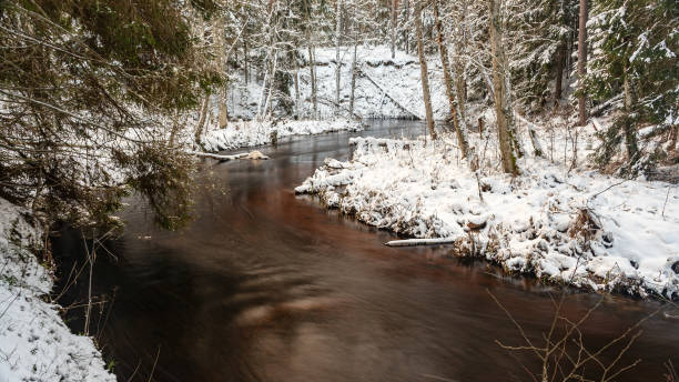 istock winter landscape with a small, wild wild river, long exposure, blurred water, snow-covered trees on the riverbank 2195700648