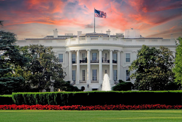 The White House, where the President of the United States lives, is lit up in the dark and decorated with Christmas decorations.\nPhotographed from Lafayette Park in front of the White House.