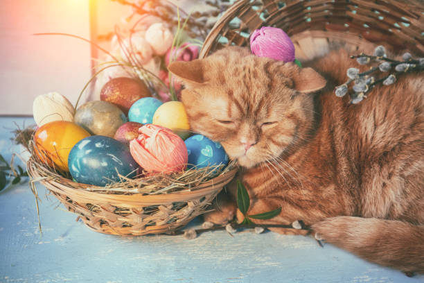 istock Cute ginger cat lying near basket with colorful easter eggs 2195704741