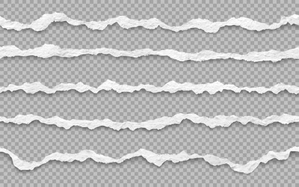 ilustraciones, imágenes clip art, dibujos animados e iconos de stock de borde de papel rasgado sin costuras realista vectorial. tiras de papel blanco rasgadas y sombra suave. - papel rasgado