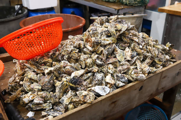 istock Korean seafood. very fresh oysters 2195710725